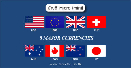 บัญชี Micro (mini)