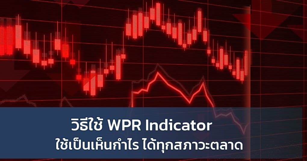 WPR Indicator ใช้เป็นเห็นกำไร ได้ทุกสภาวะตลาด