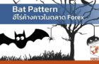 Bat Pattern ฮีโร่ค้างคาวในตลาด Forex