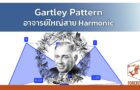 Gartley Pattern อาจารย์ใหญ่สาย Harmonic