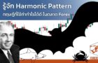 รู้จัก Harmonic Pattern ทฤษฎีที่ใช้ทำกำไรได้ดี ในตลาด Forex